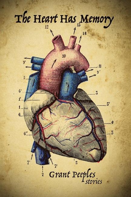 Vorderes Coverbild The Heart Has Memory