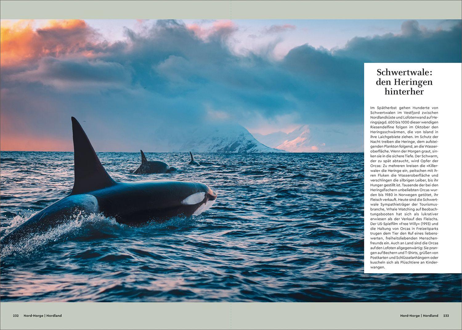 Beispielinhalt (Bild) KUNTH Unterwegs in Norwegen