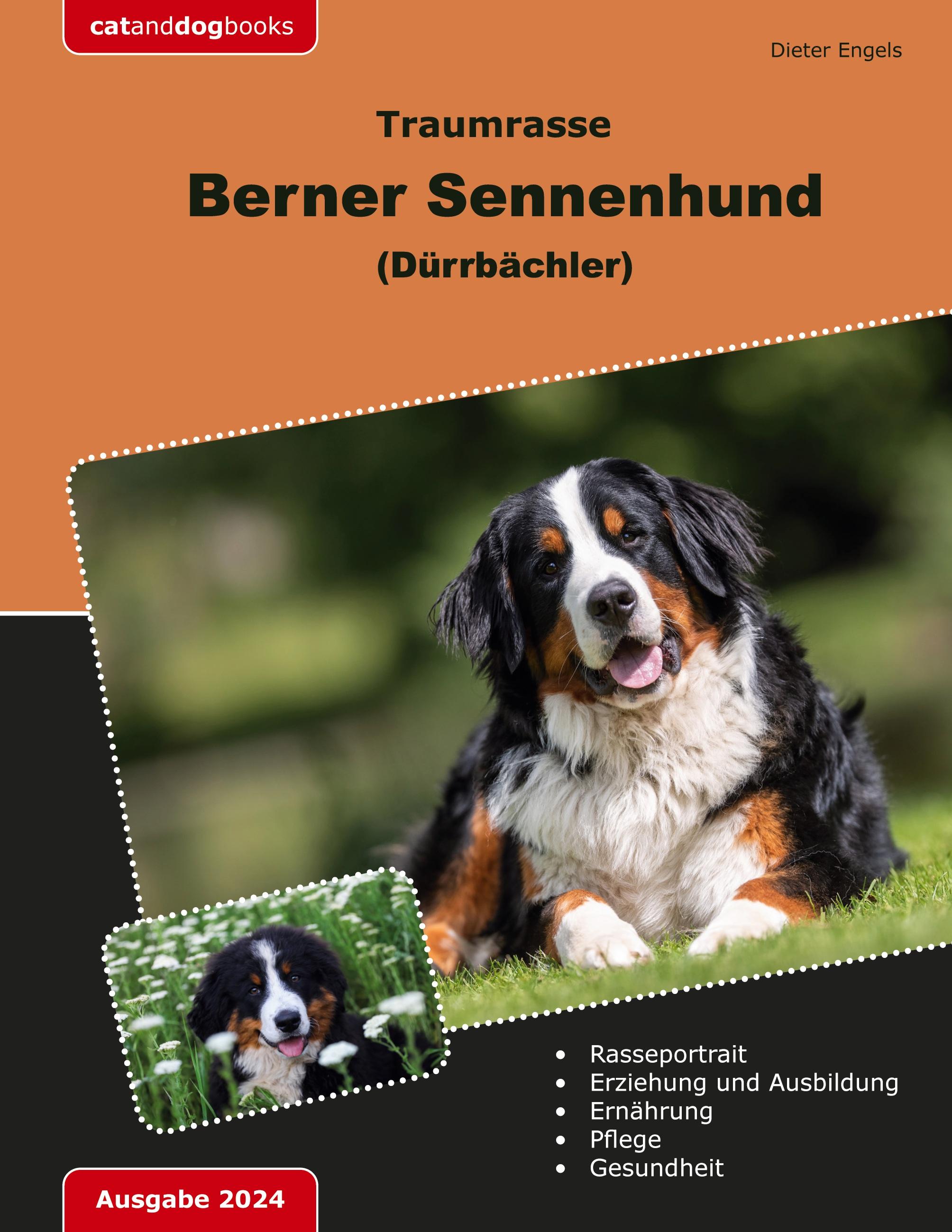 Vorderes Coverbild Traumrasse Berner Sennenhund