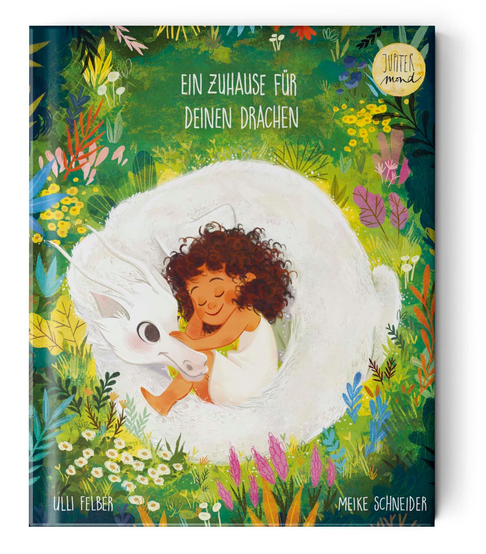 Vorderes Coverbild Ein Zuhause für deinen Drachen