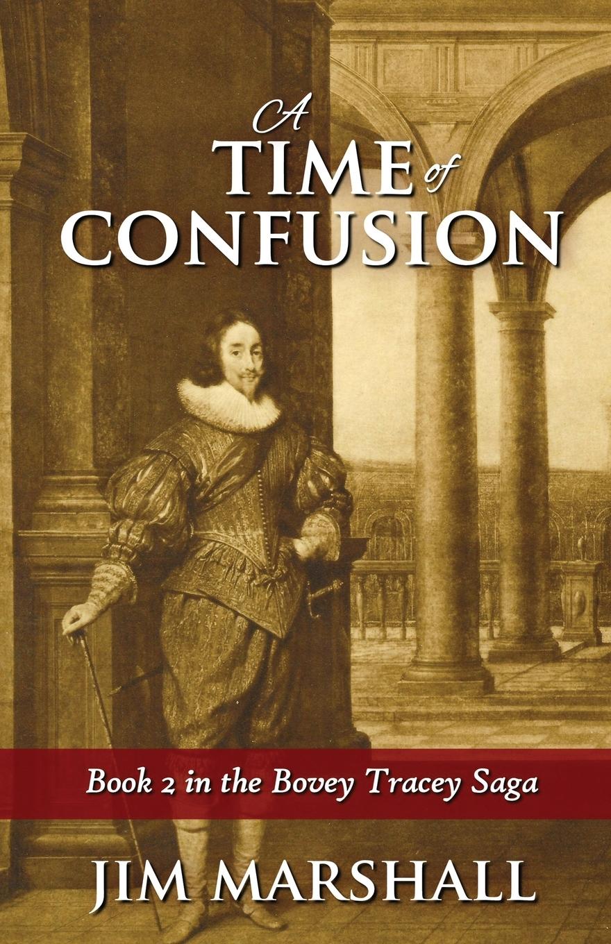 Vorderes Coverbild A Time of Confusion