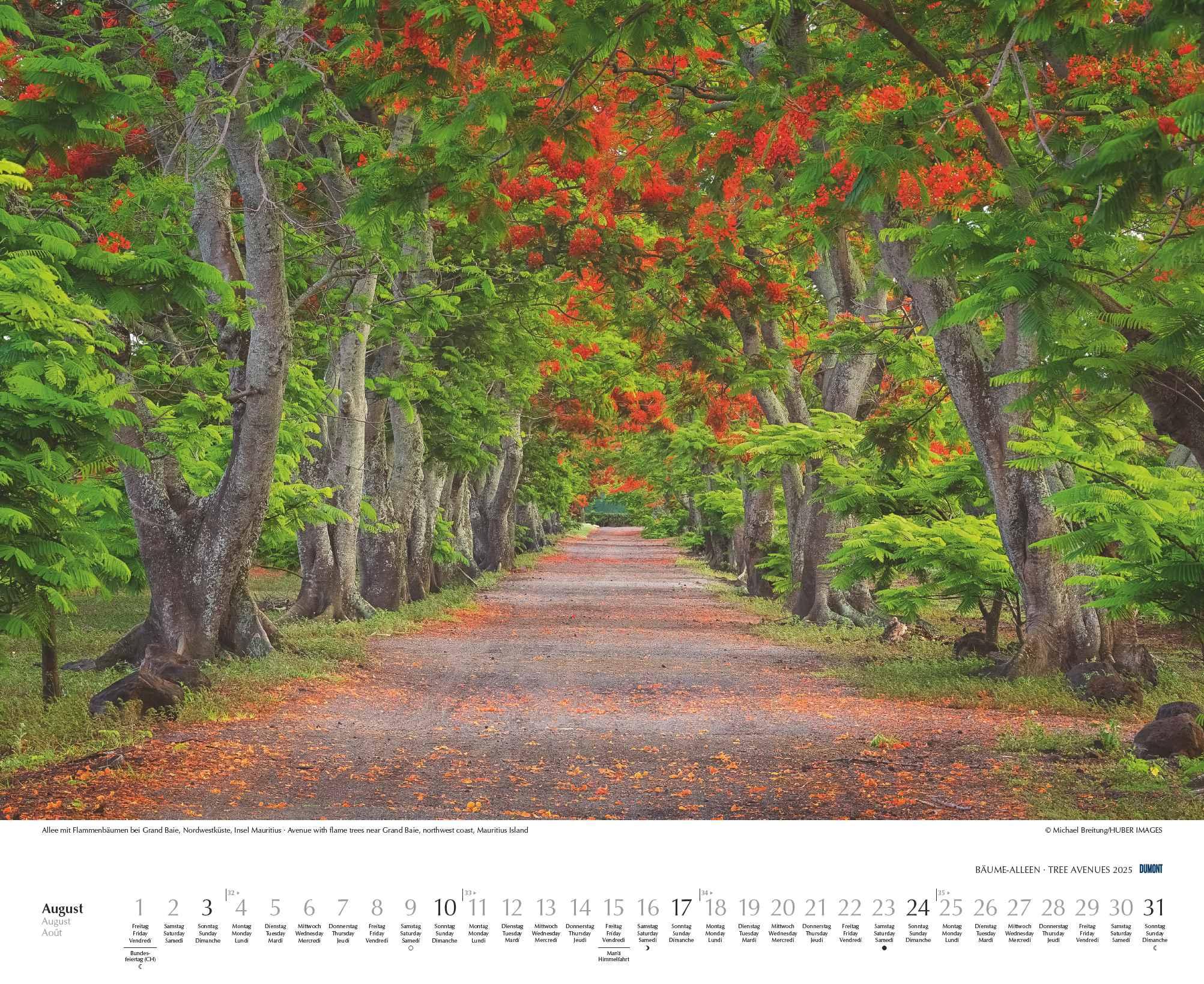 Beispielinhalt (Bild) Bäume - Alleen 2025 - Wandkalender 52 x 42,5 cm - Spiralbindung