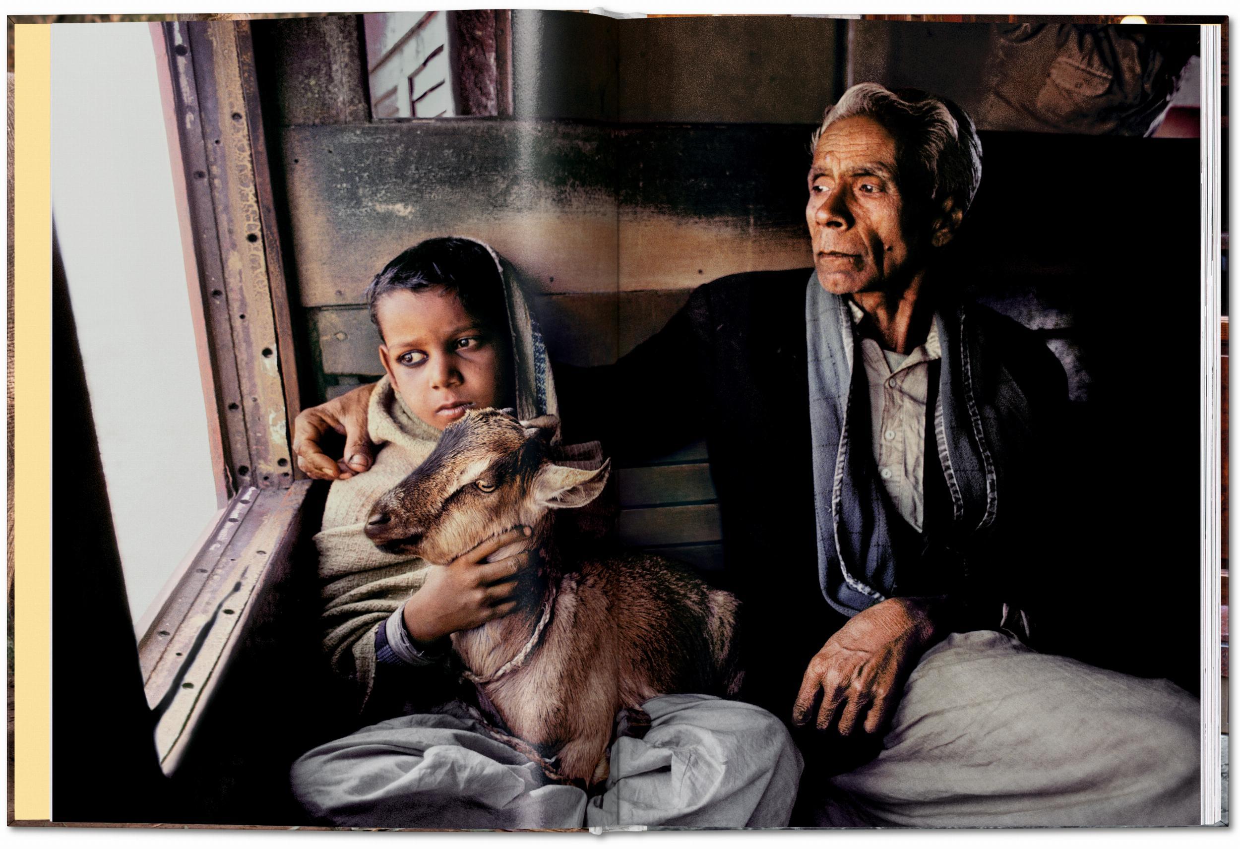 Beispielinhalt (Bild) Steve McCurry. Animals