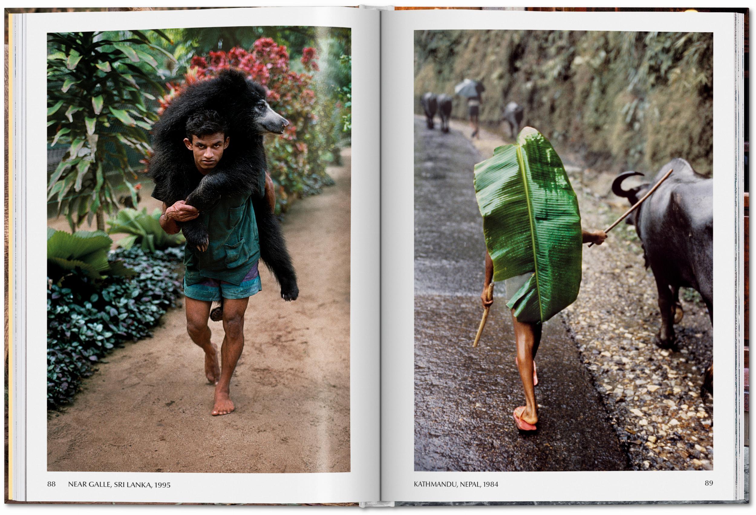 Beispielinhalt (Bild) Steve McCurry. Animals