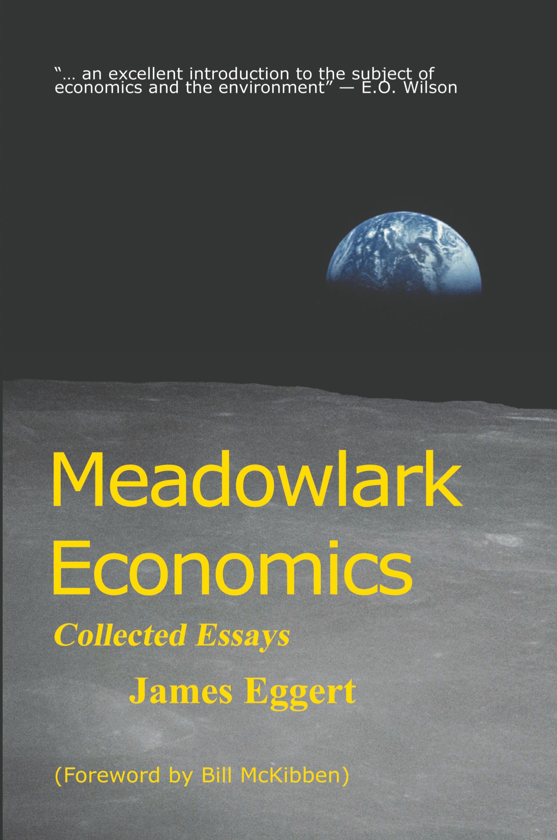 Vorderes Coverbild Meadowlark Economics
