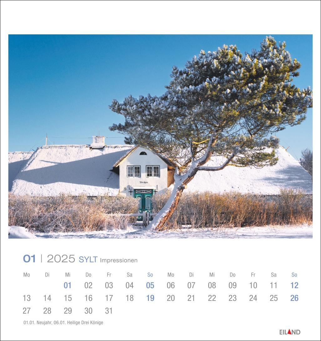 Beispielinhalt (Bild) Sylt Impressionen Postkartenkalender 2025