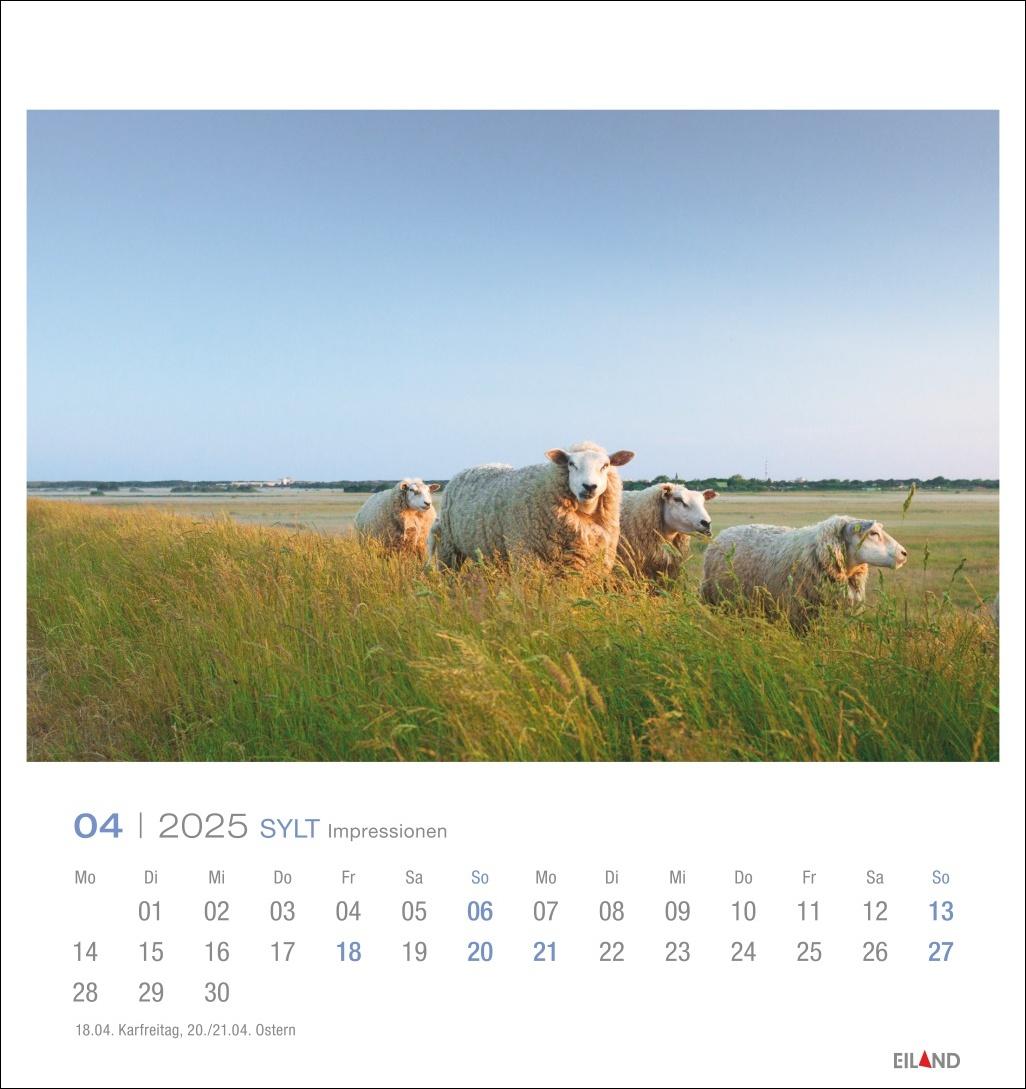 Beispielinhalt (Bild) Sylt Impressionen Postkartenkalender 2025