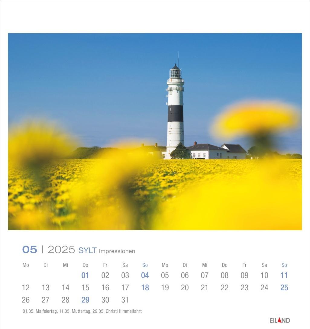 Beispielinhalt (Bild) Sylt Impressionen Postkartenkalender 2025