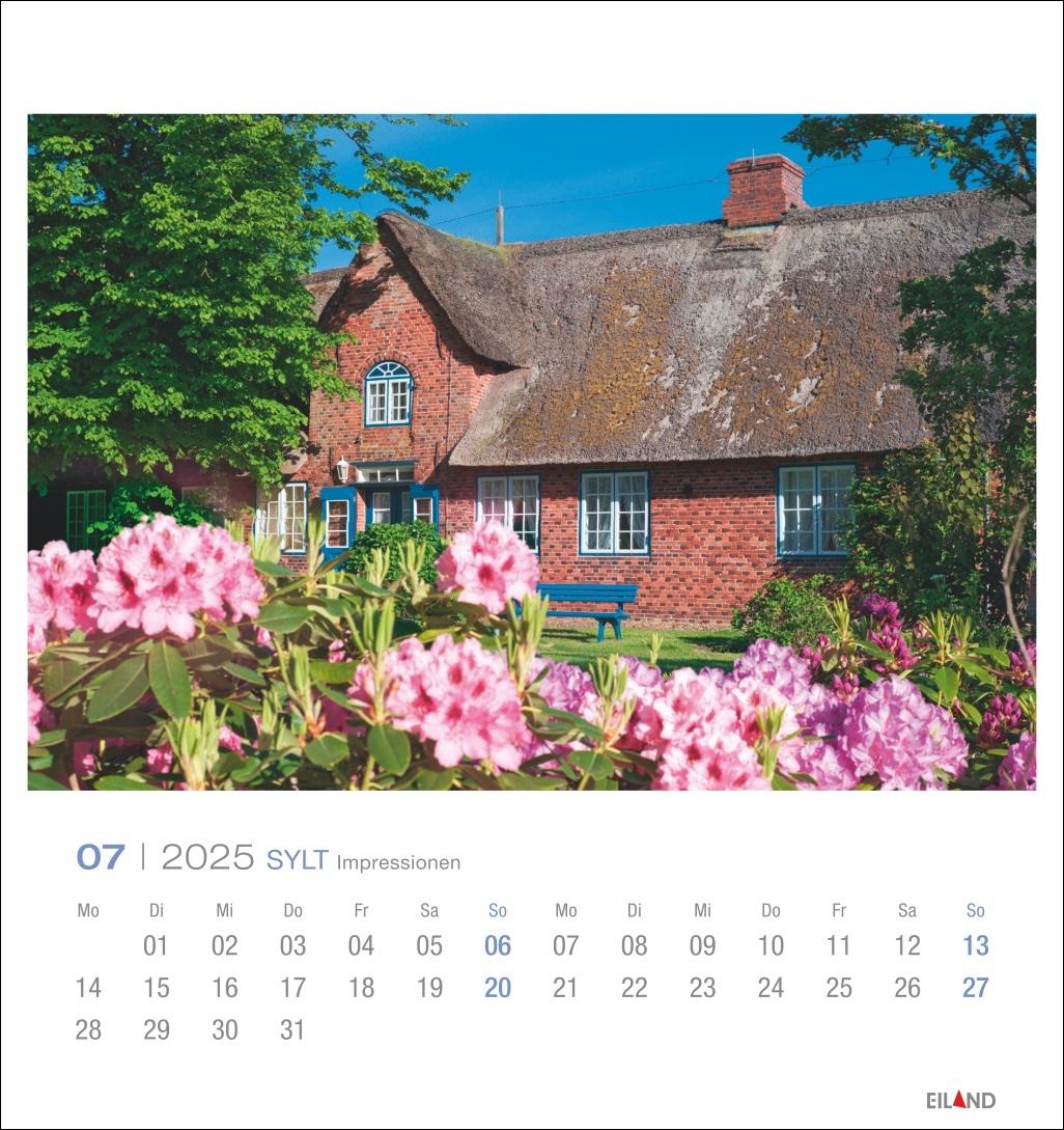 Beispielinhalt (Bild) Sylt Impressionen Postkartenkalender 2025