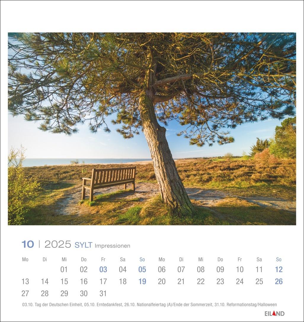 Beispielinhalt (Bild) Sylt Impressionen Postkartenkalender 2025