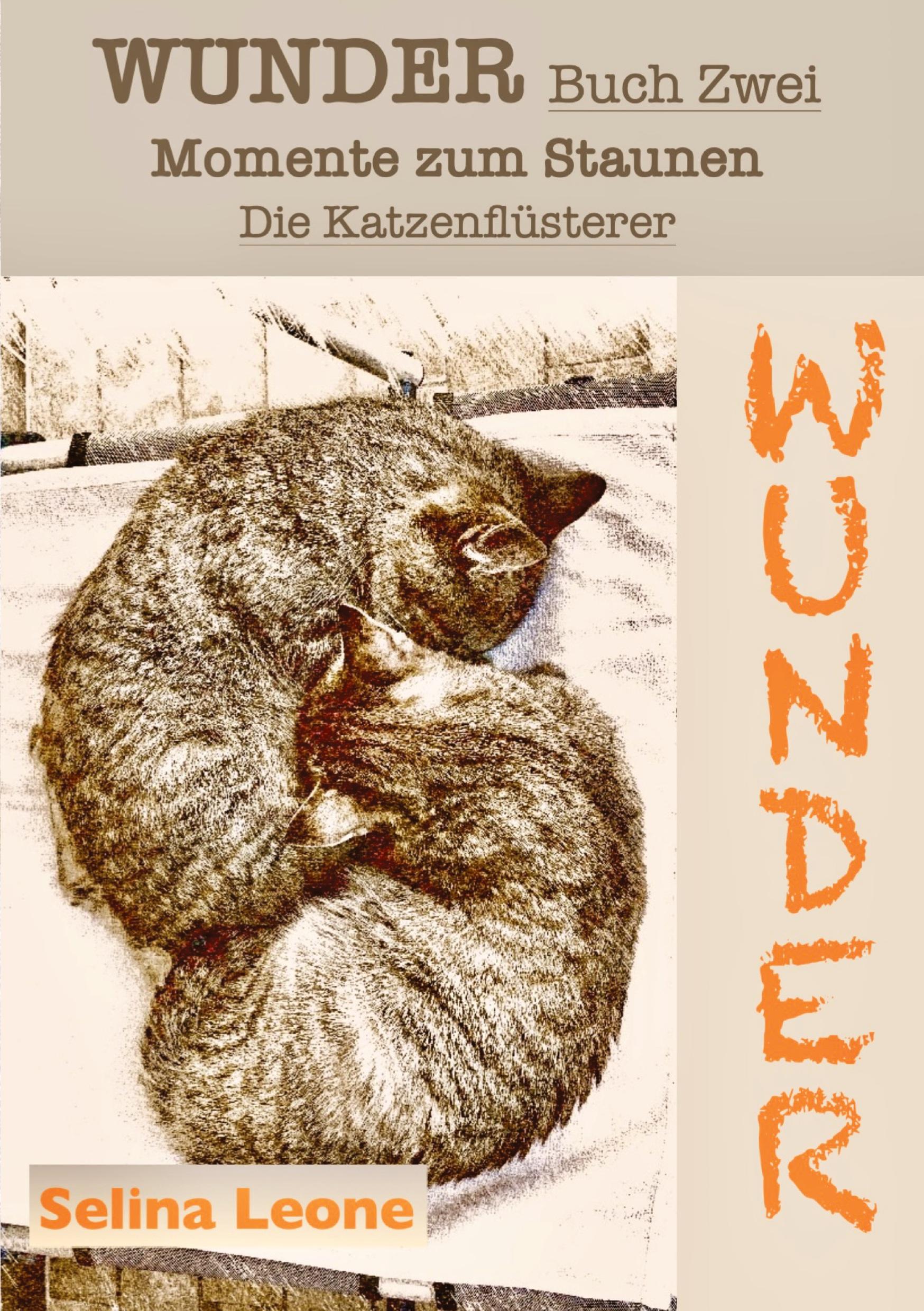 Vorderes Coverbild WUNDER / Momente zum Staunen - Buch Zwei / Die Katzenflüsterer