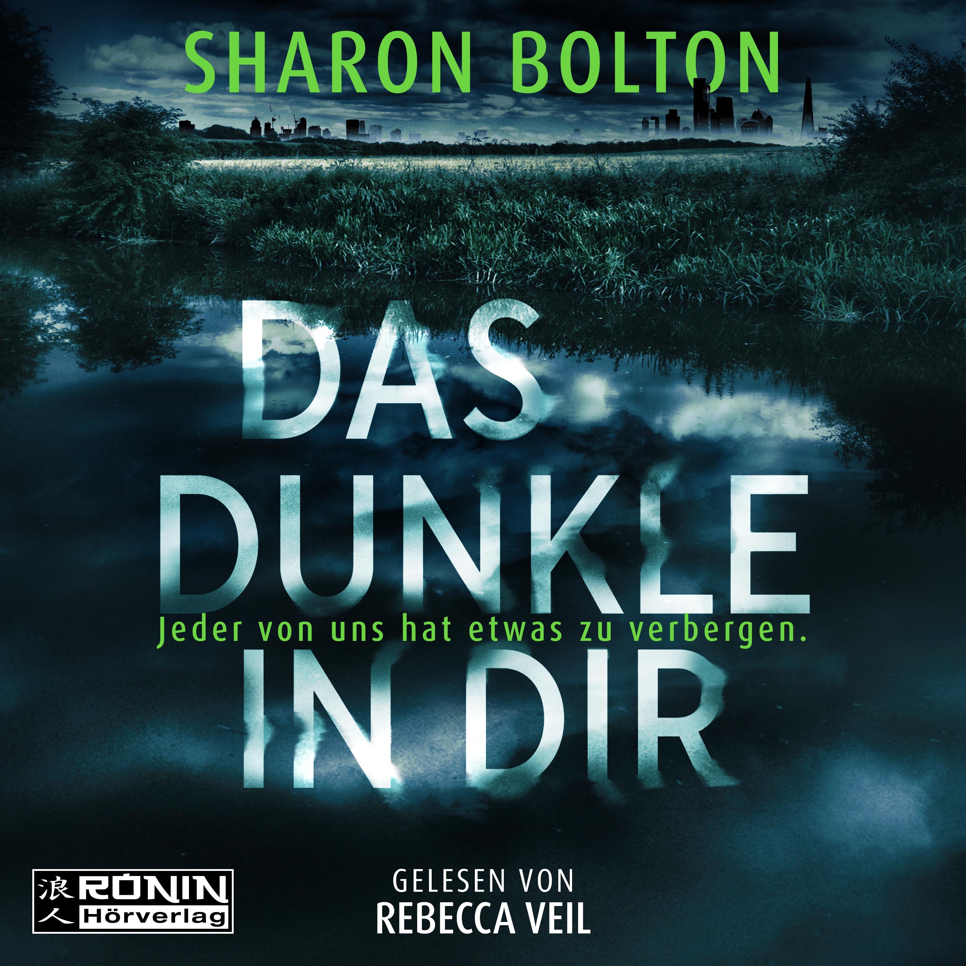 Vorderes Coverbild Das Dunkle in dir