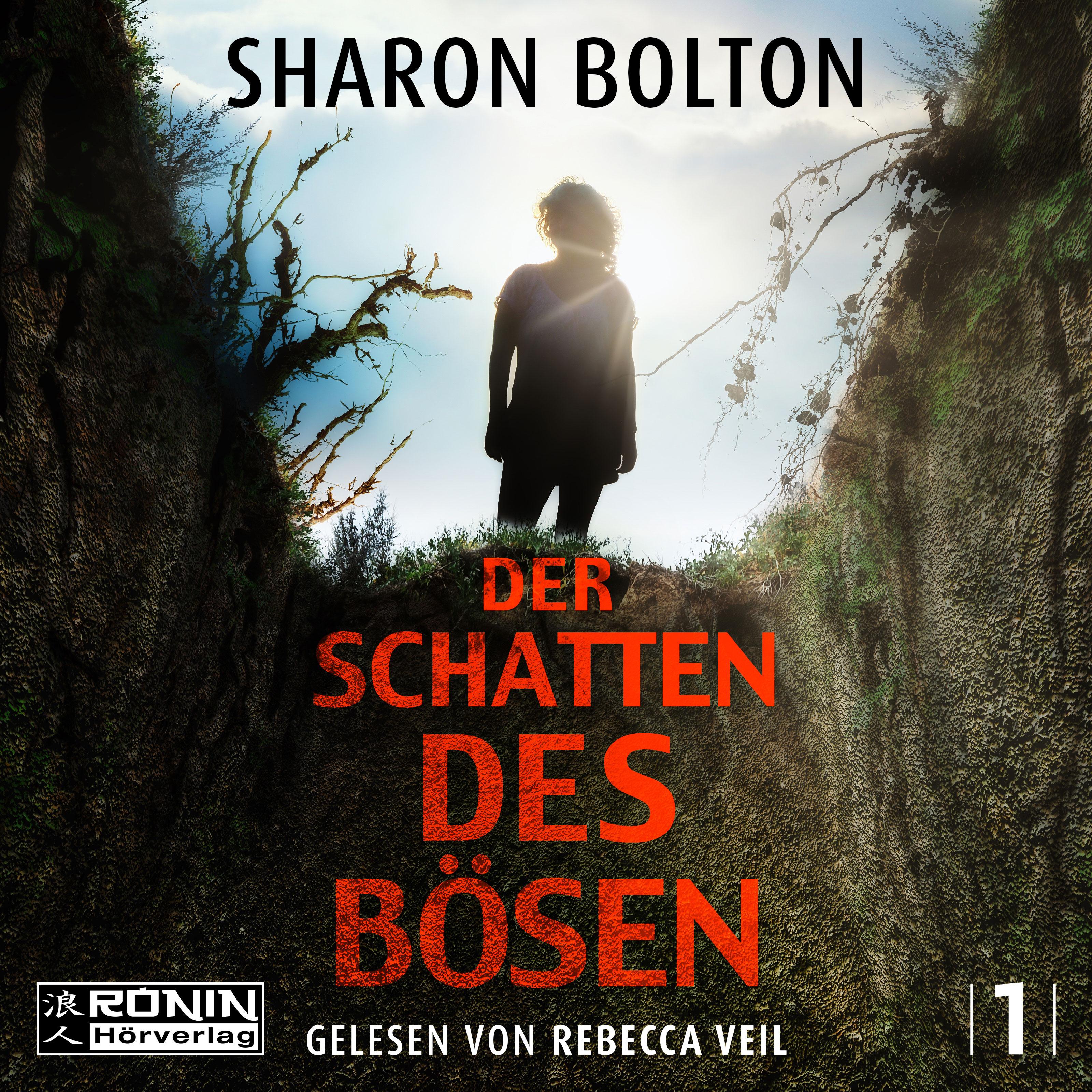 Vorderes Coverbild Der Schatten des Bösen