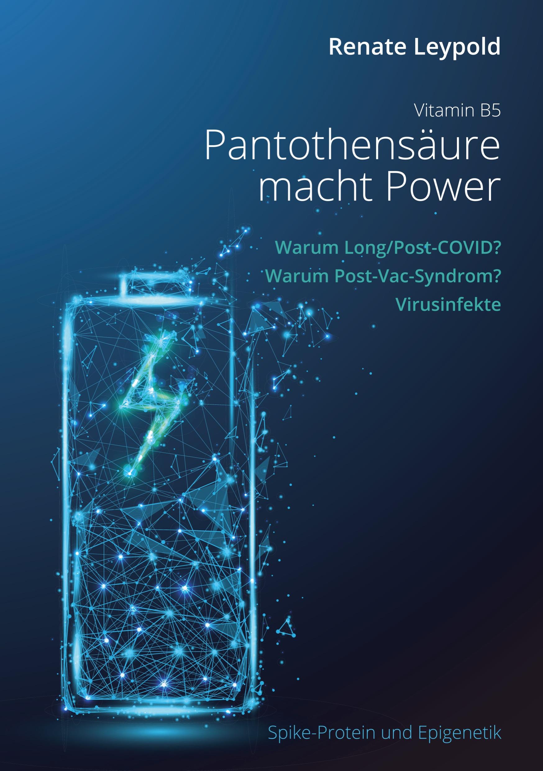 Vorderes Coverbild Pantothensäure B5 macht Power