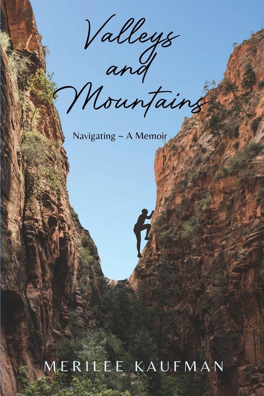 Vorderes Coverbild Valleys and Mountains