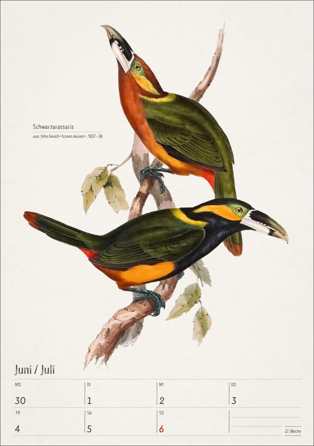Beispielinhalt (Bild) Bunte Vogelwelt Wochenplaner 2025 - 53 historische Illustrationen