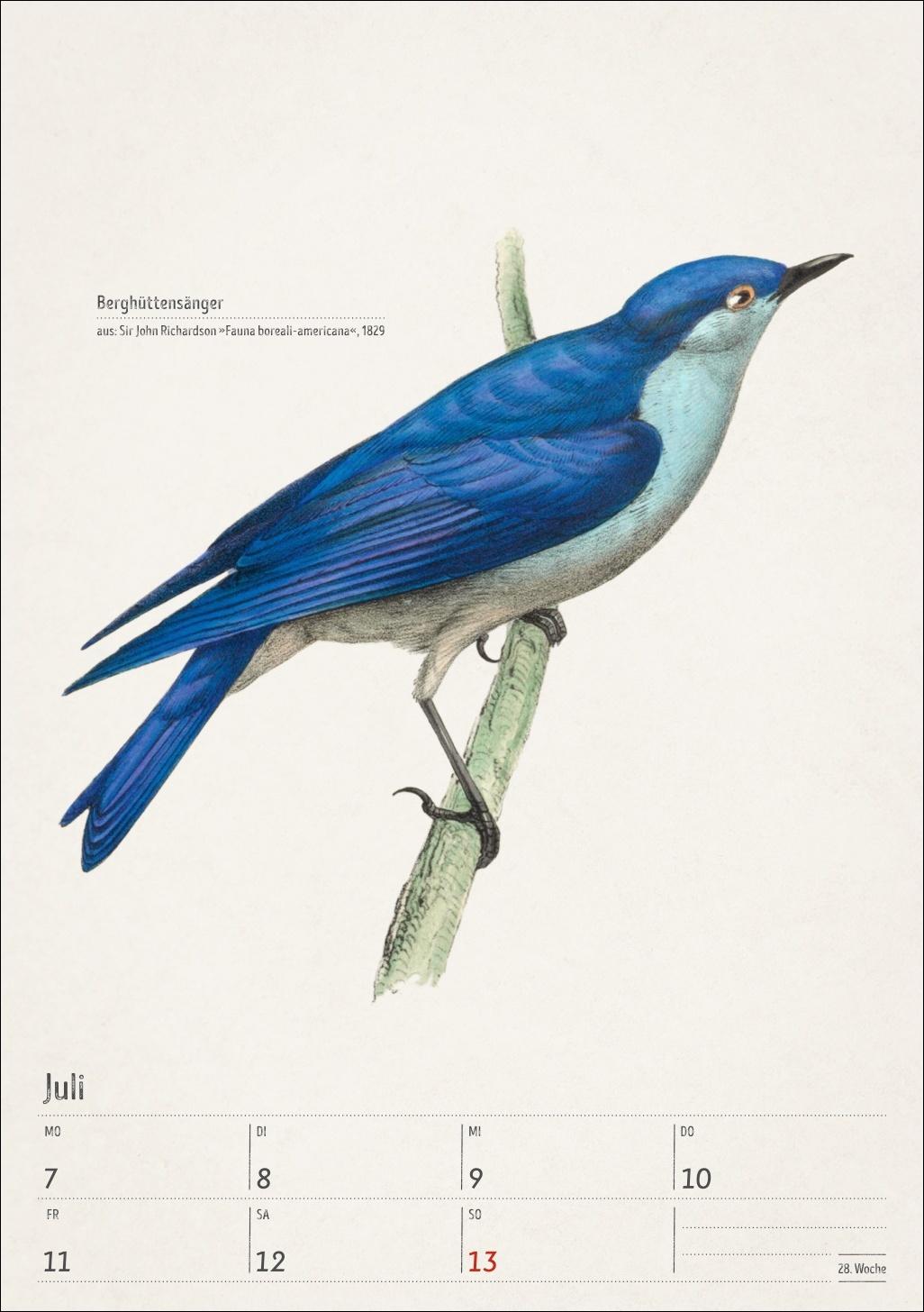 Beispielinhalt (Bild) Bunte Vogelwelt Wochenplaner 2025 - 53 historische Illustrationen