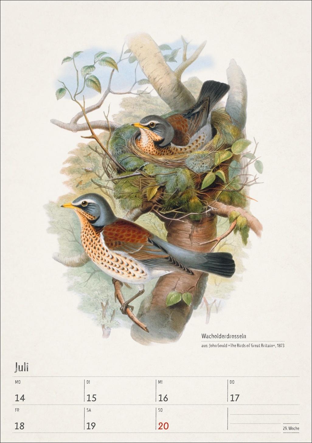 Beispielinhalt (Bild) Bunte Vogelwelt Wochenplaner 2025 - 53 historische Illustrationen