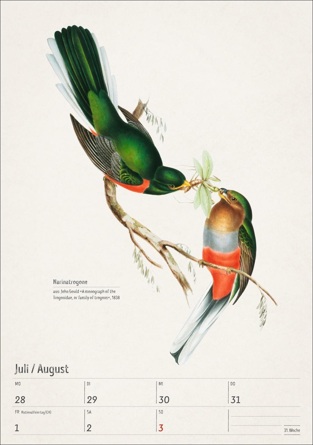 Beispielinhalt (Bild) Bunte Vogelwelt Wochenplaner 2025 - 53 historische Illustrationen