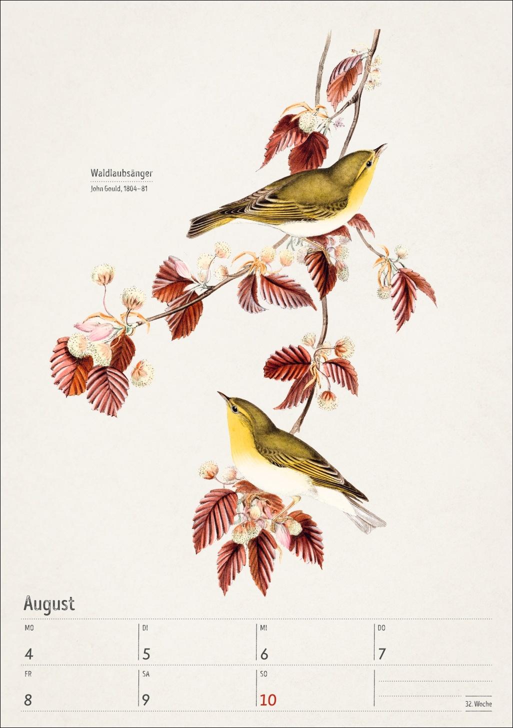Beispielinhalt (Bild) Bunte Vogelwelt Wochenplaner 2025 - 53 historische Illustrationen