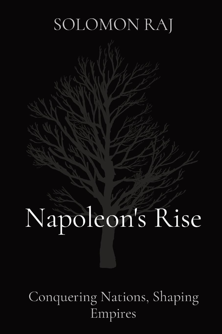 Vorderes Coverbild Napoleon's Rise
