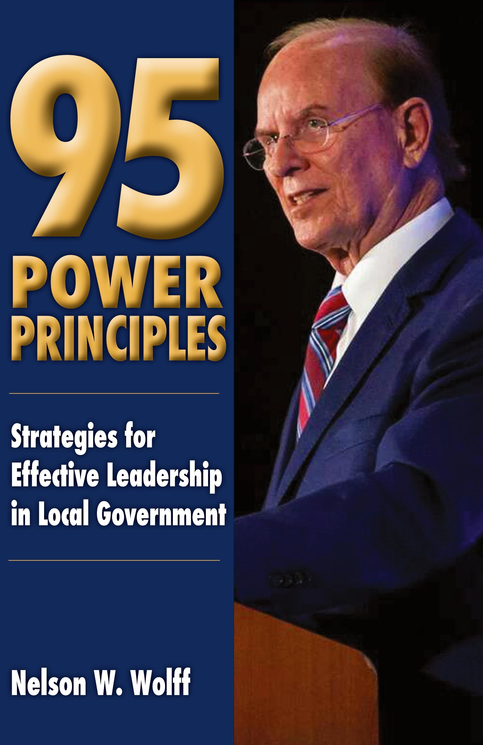 Vorderes Coverbild 95 Power Principles
