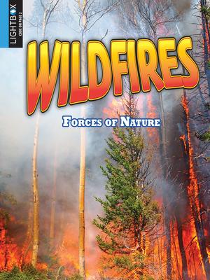 Vorderes Coverbild Wildfires
