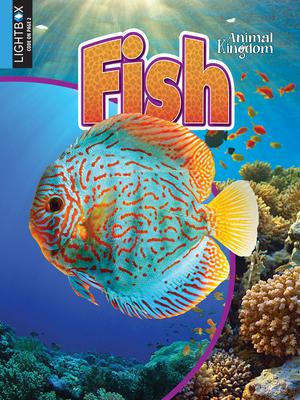 Vorderes Coverbild Fish