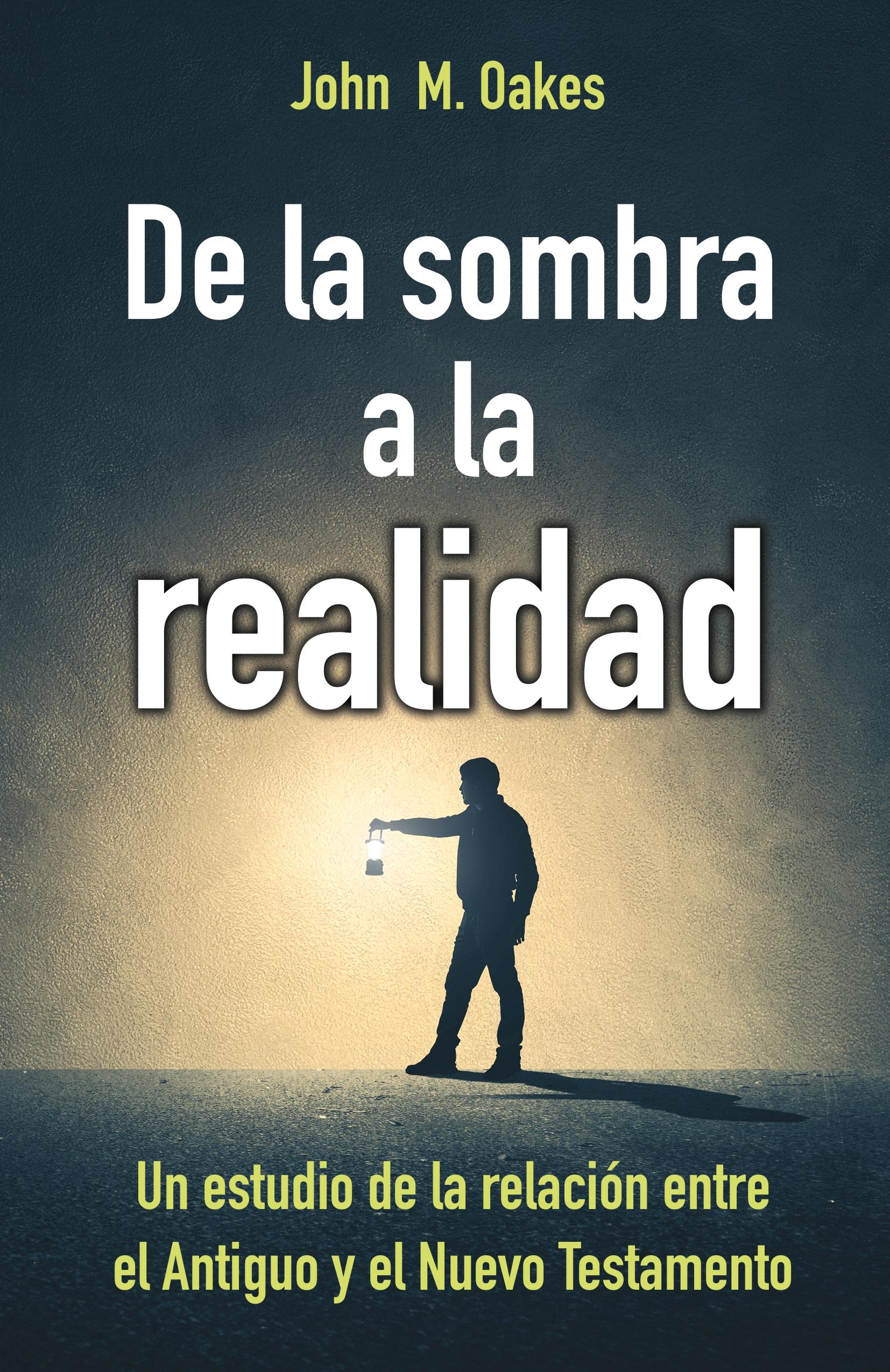 Vorderes Coverbild De la sombra a la realidad