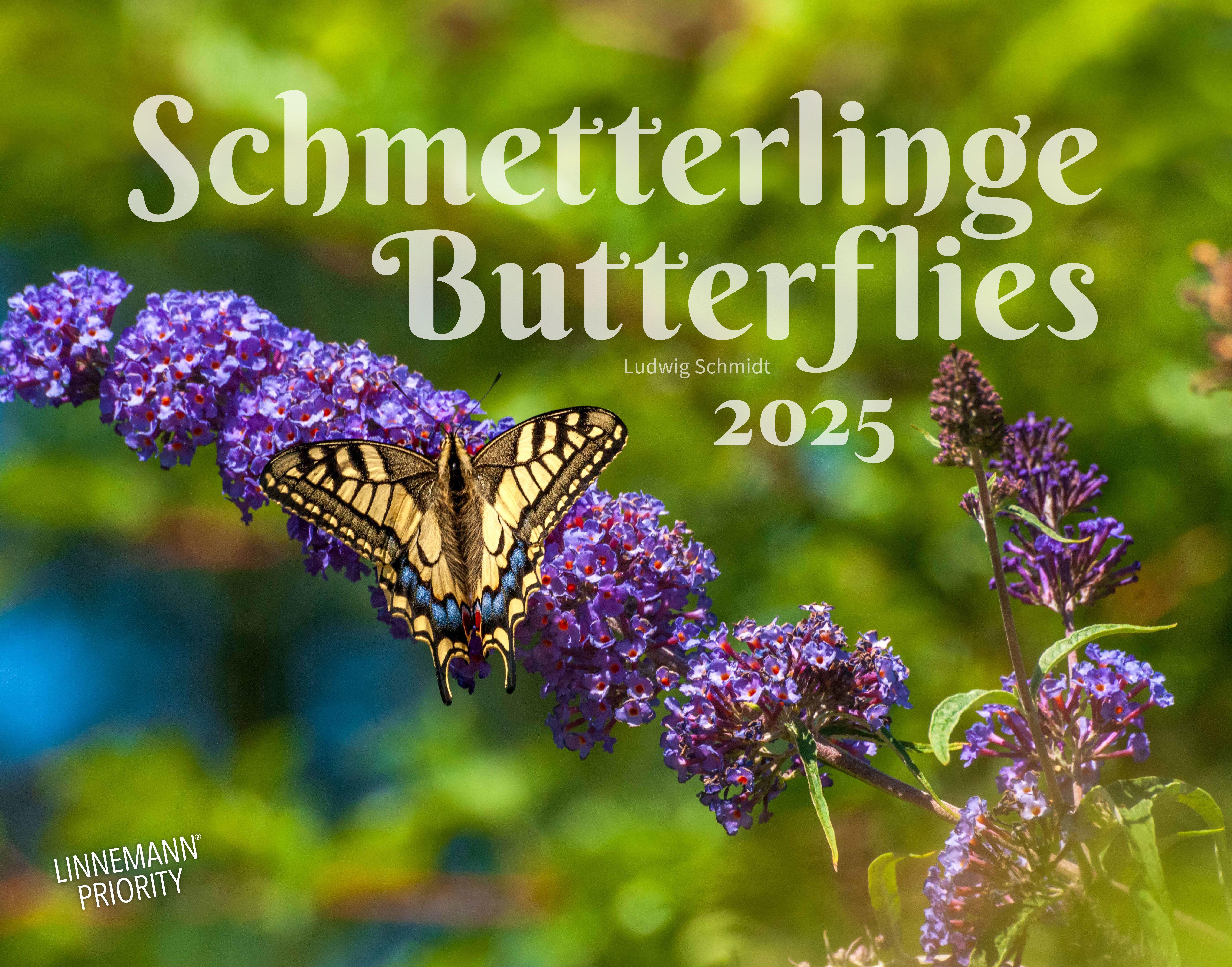 Vorderes Coverbild Schmetterlinge 2025 Großformat-Kalender 58 x 45,5 cm