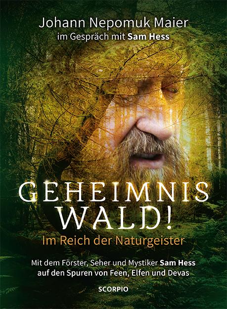 Vorderes Coverbild Geheimnis Wald! - Im Reich der Naturgeister