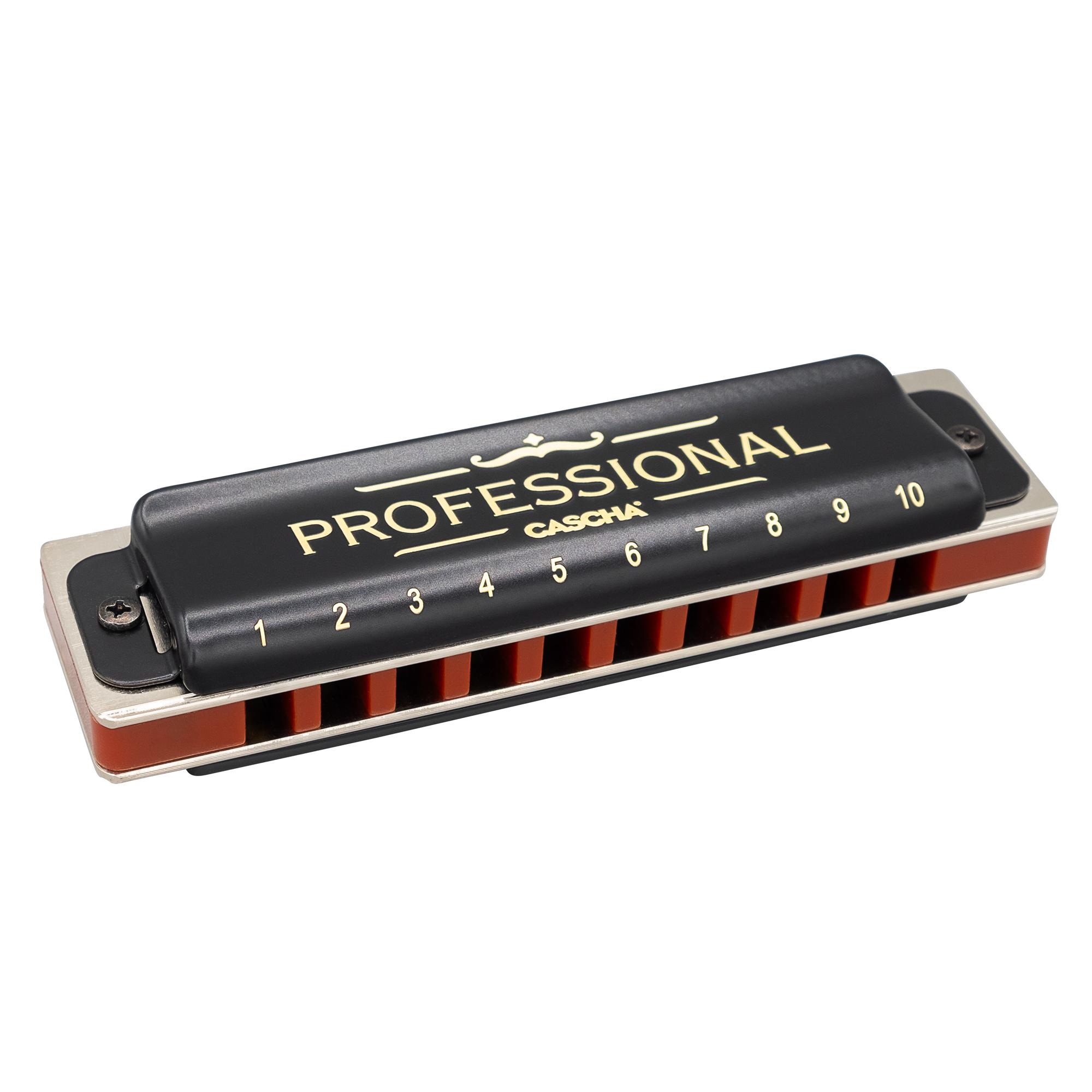 Beispielinhalt (Bild) Professional Blues Harmonica in C (incl. case and cleaning cloth)