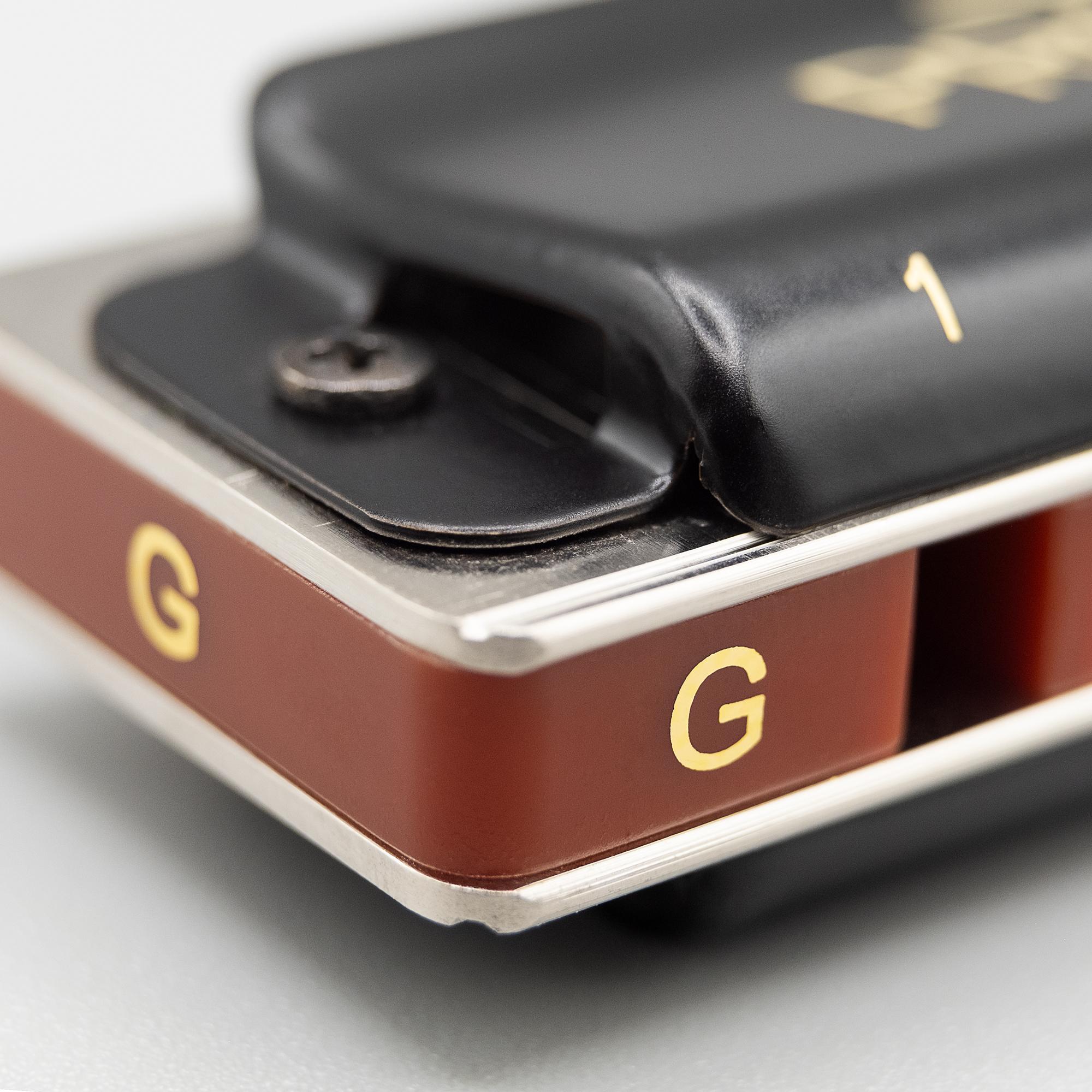 Beispielinhalt (Bild) Professional Blues Harmonica in D (incl. case and cleaning cloth)