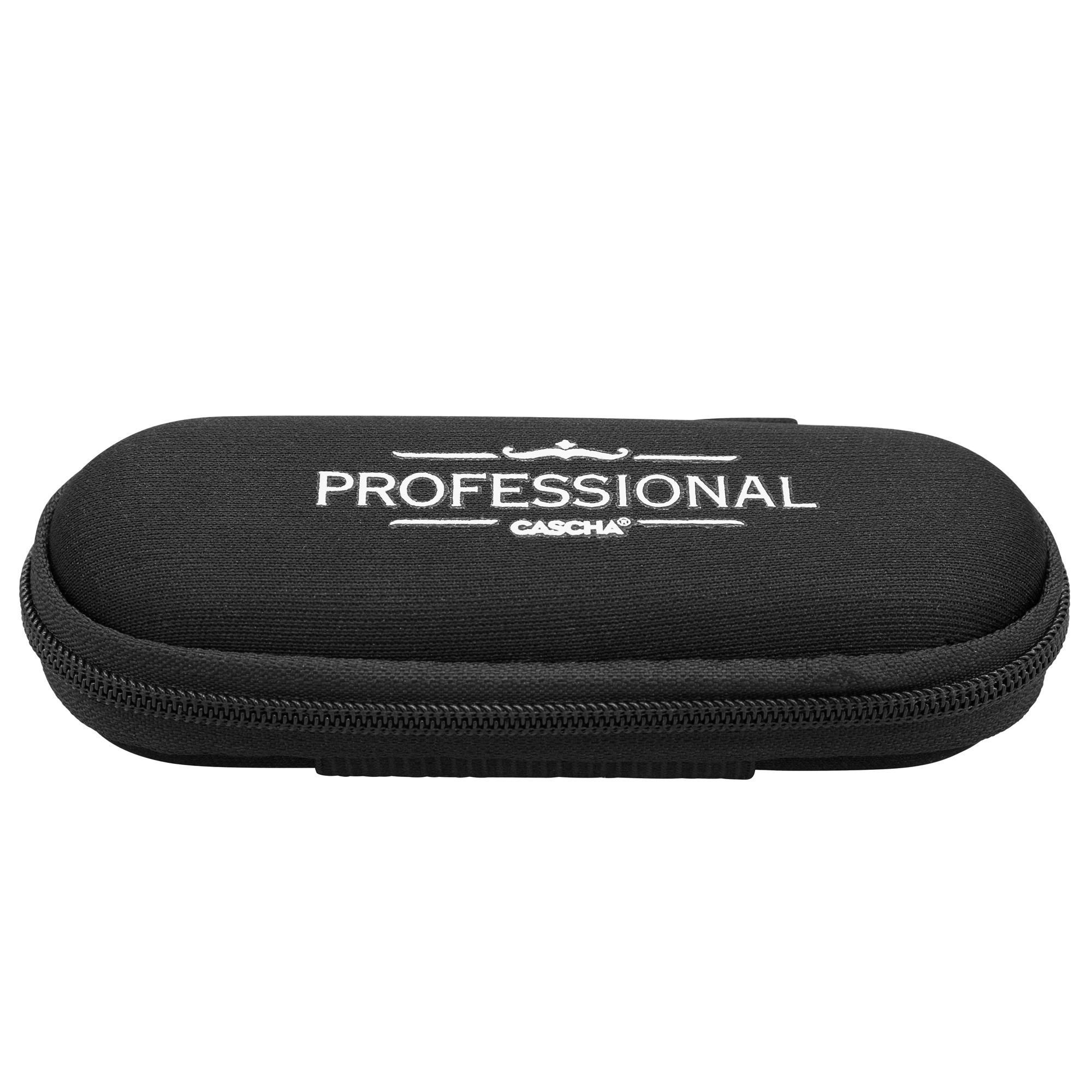 Beispielinhalt (Bild) Professional Blues Harmonica in E (incl. case and cleaning cloth)