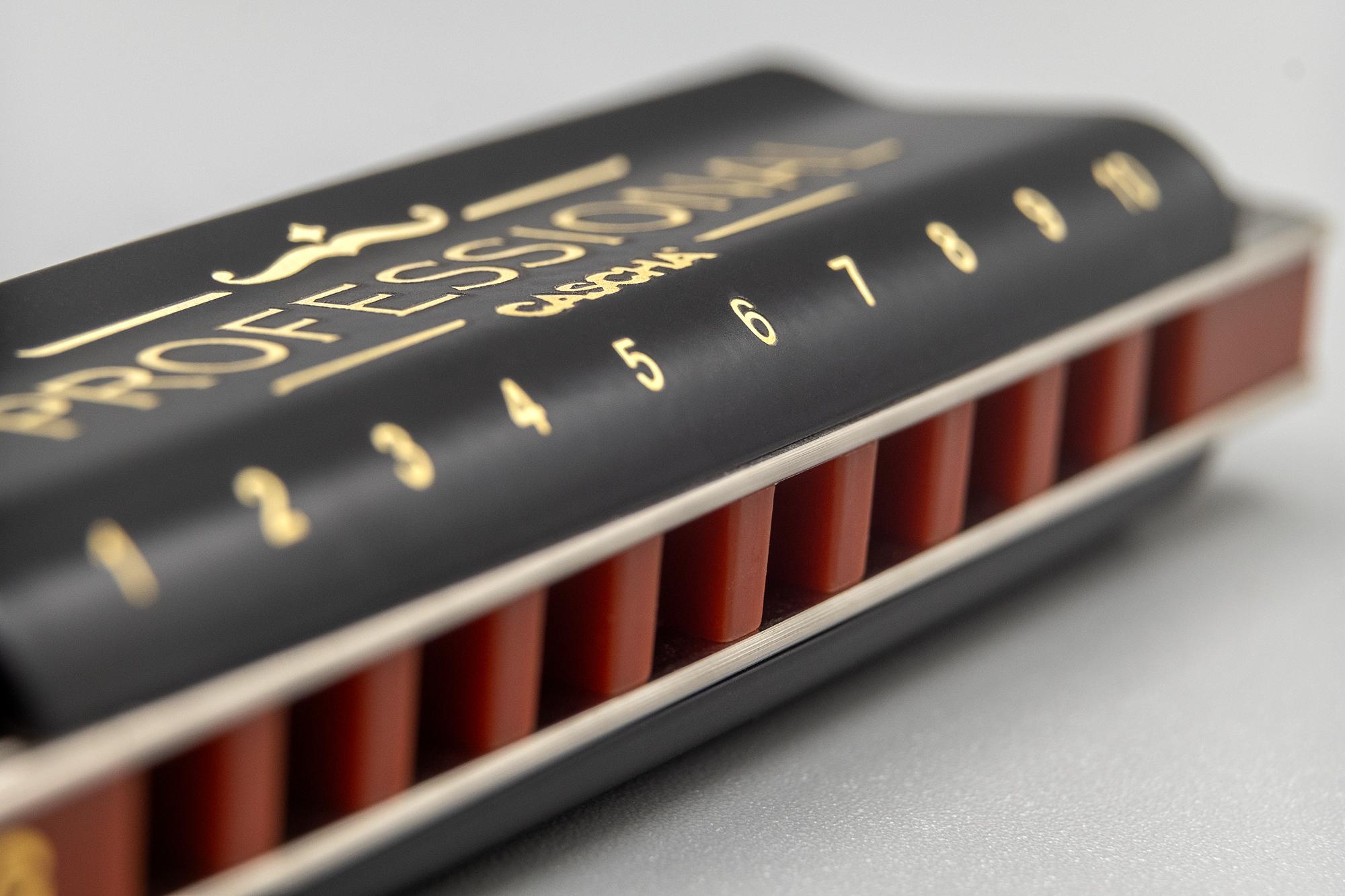 Beispielinhalt (Bild) Professional Blues Harmonica in E (incl. case and cleaning cloth)