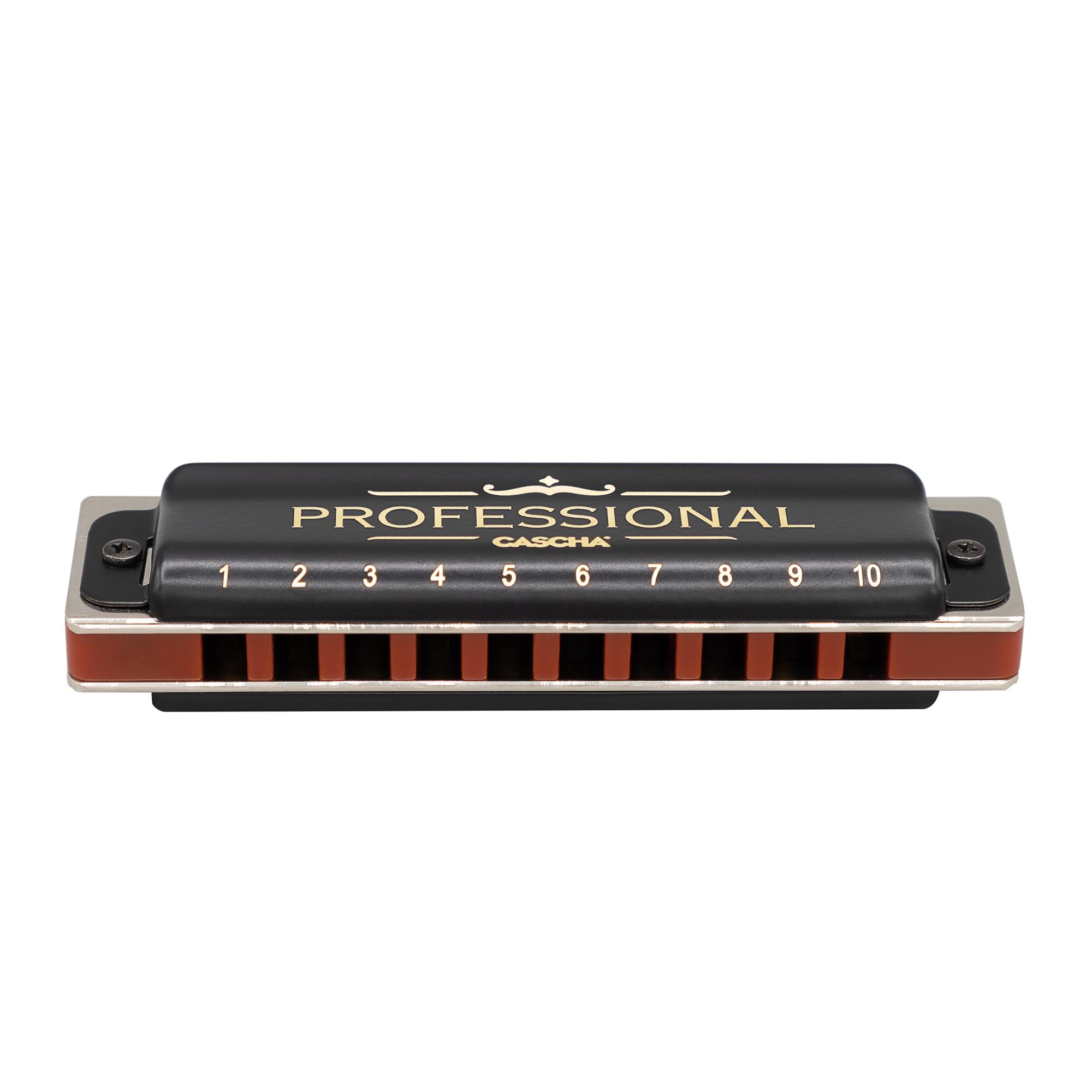 Beispielinhalt (Bild) Professional Blues Harmonica in A (incl. case and cleaning cloth)