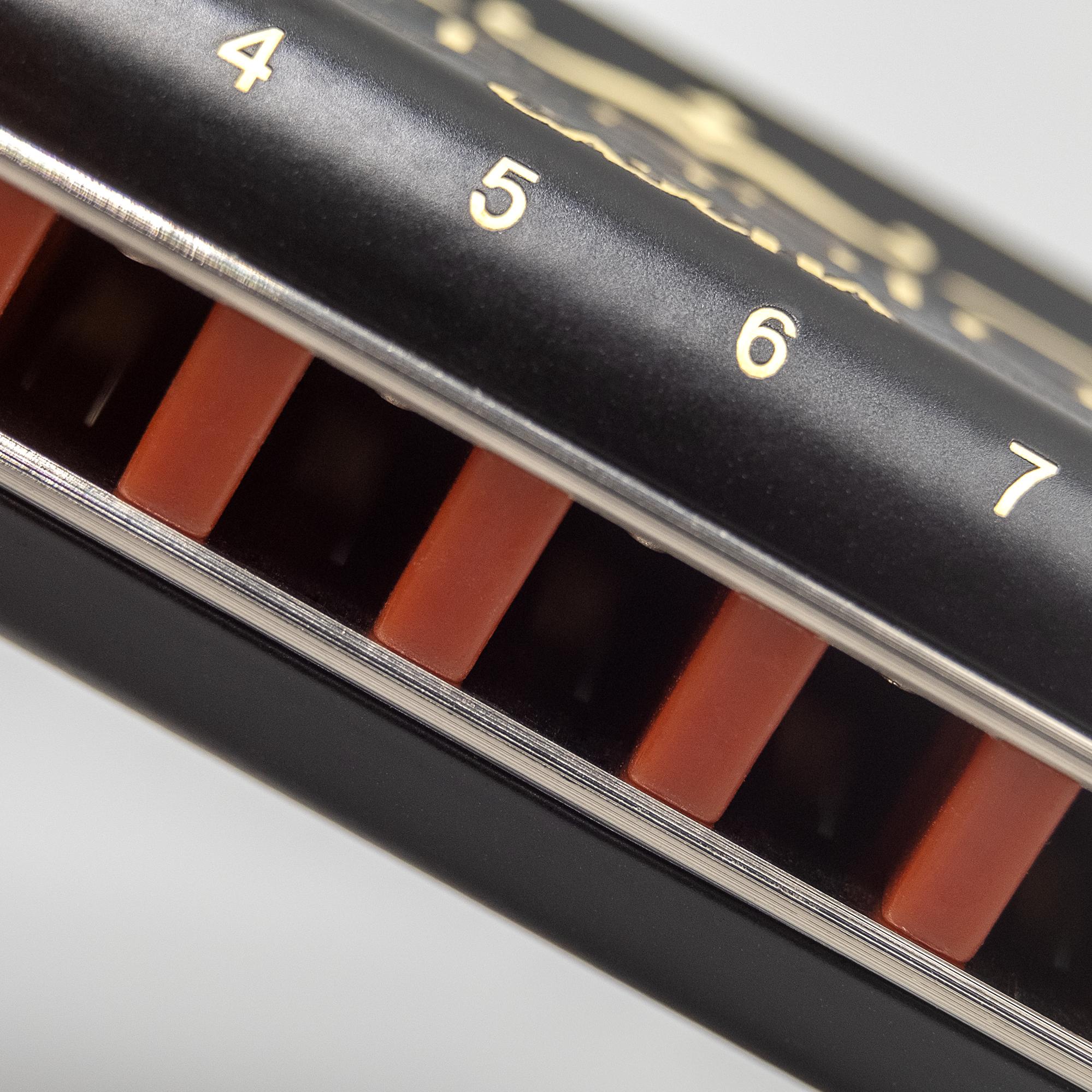 Beispielinhalt (Bild) Professional Blues Harmonica in A (incl. case and cleaning cloth)