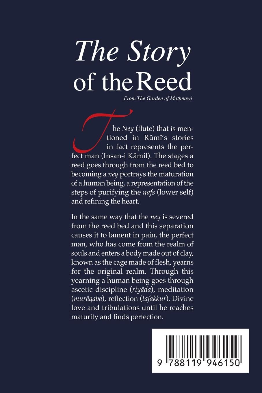 Rückseitencover The Story of the Reed