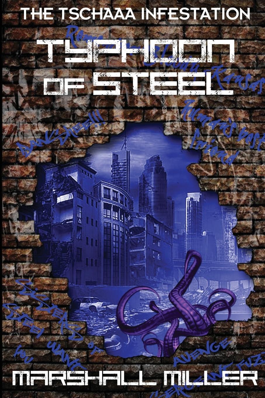 Vorderes Coverbild Typhoon of Steel