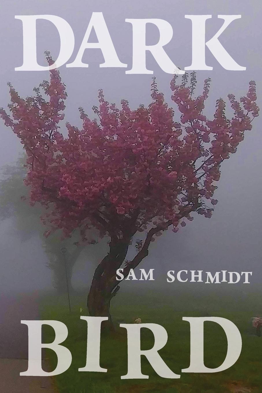 Vorderes Coverbild Dark Bird
