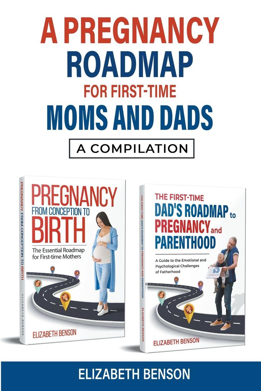 Vorderes Coverbild A Pregnancy Roadmap for First-Time Moms and Dads