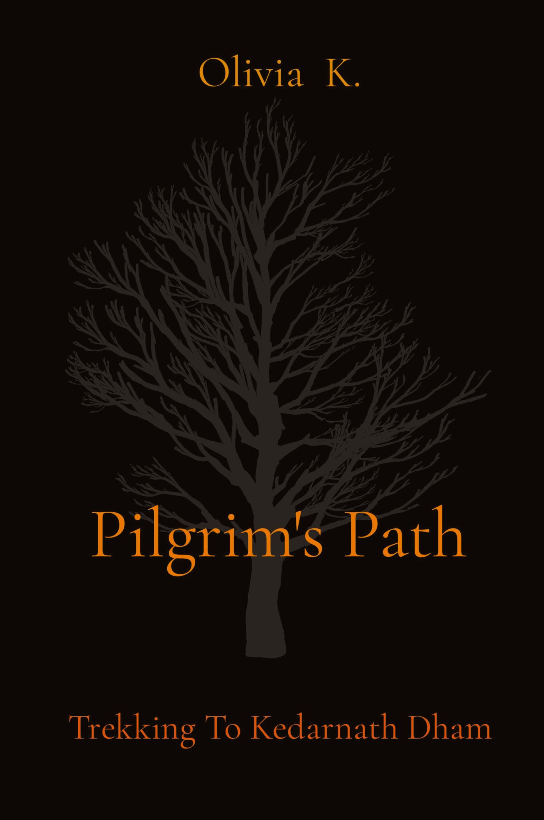 Vorderes Coverbild Pilgrim's Path