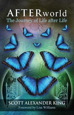 Vorderes Coverbild Afterworld