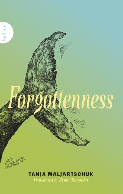 Vorderes Coverbild Forgottenness