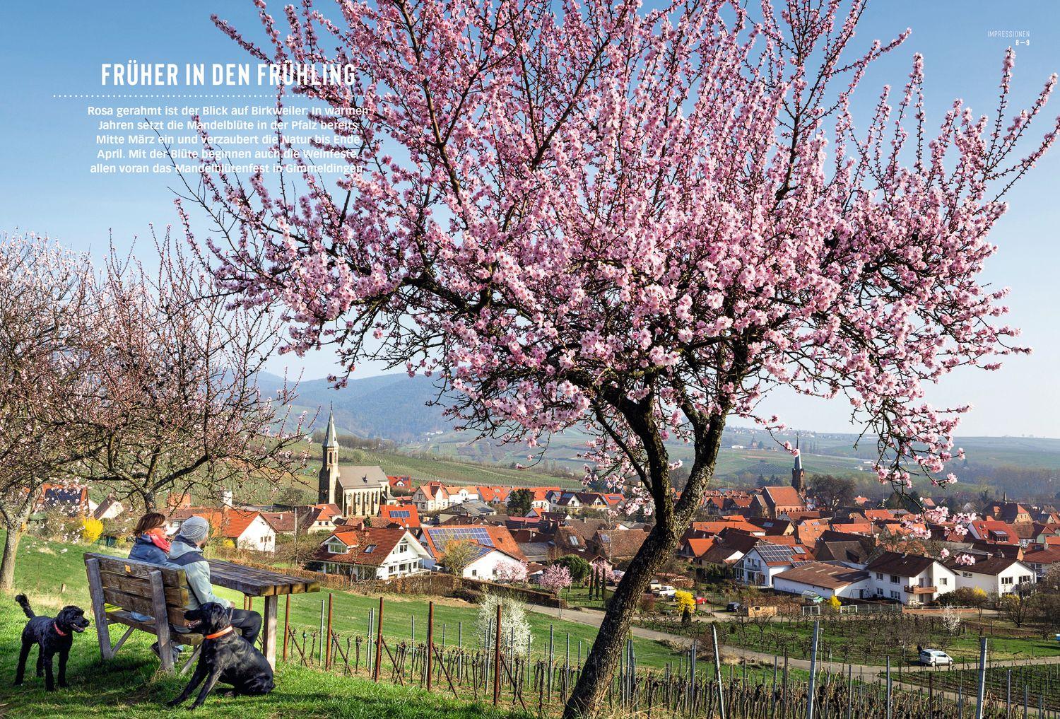 Beispielinhalt (Bild) DUMONT Bildatlas Pfalz