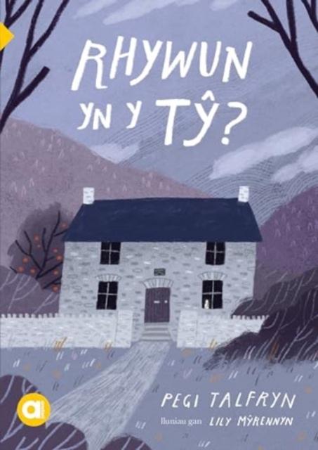 Vorderes Coverbild Cyfres Amdani: Rhywun yn y Ty?
