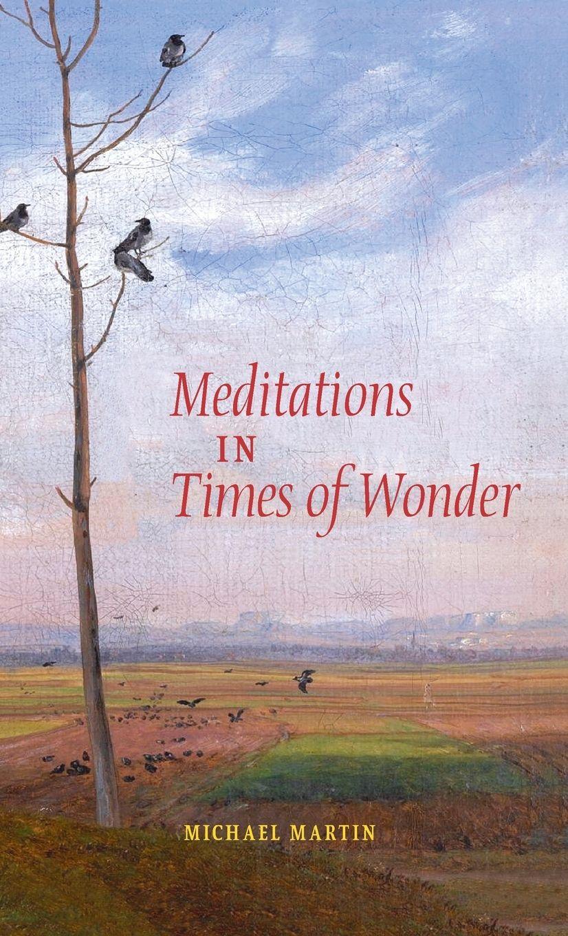 Vorderes Coverbild Meditations in Times of Wonder
