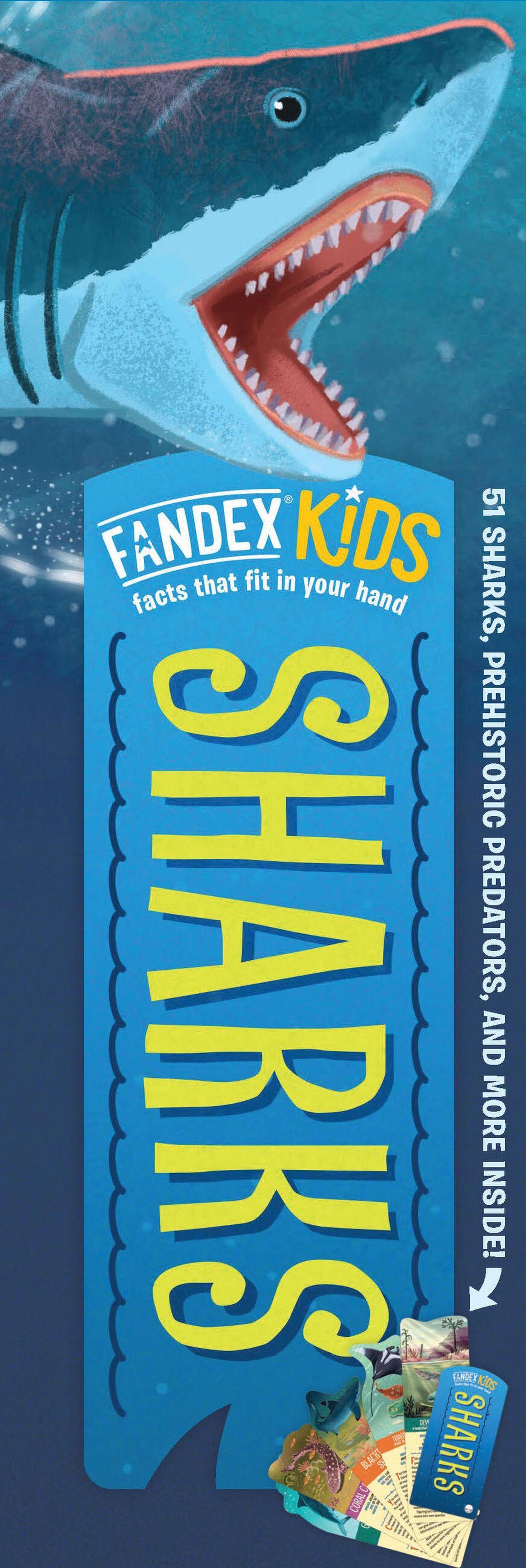 Vorderes Coverbild Fandex Kids: Sharks
