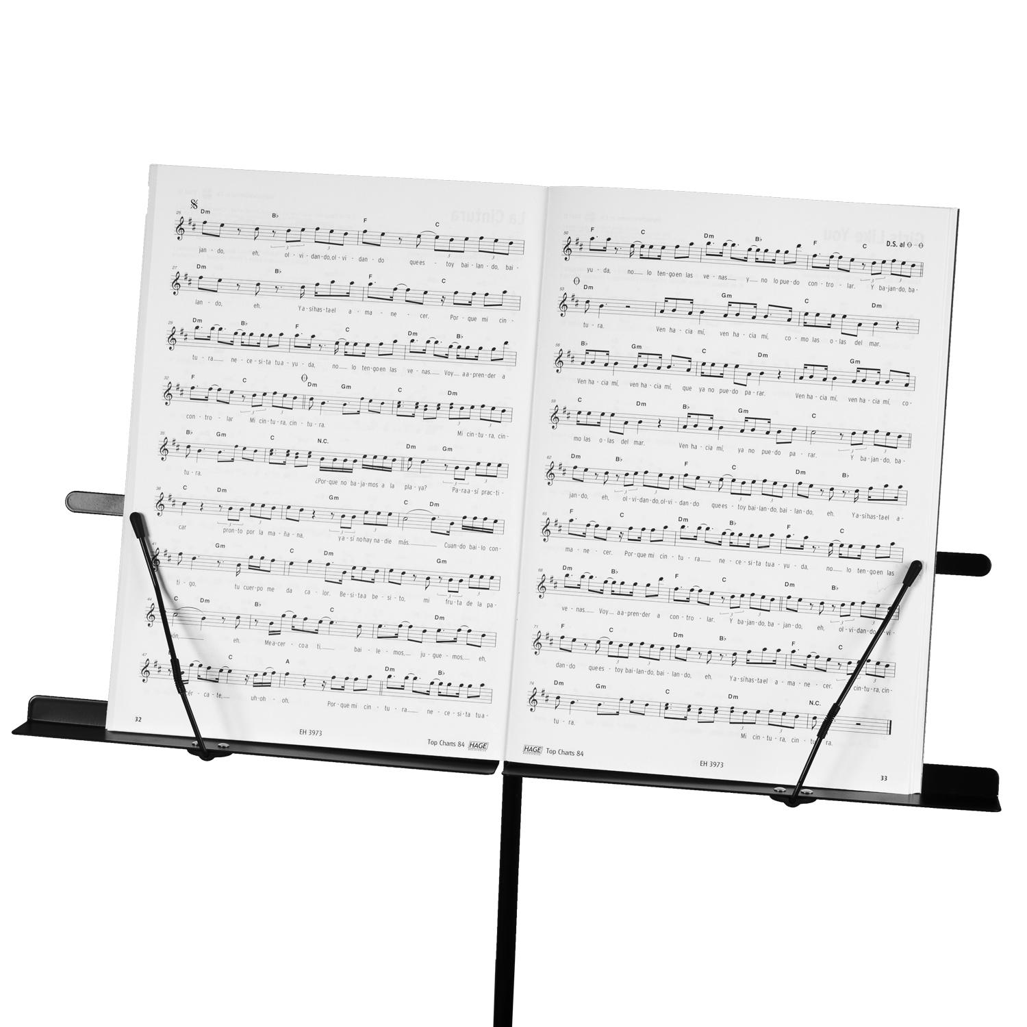 Beispielinhalt (Bild) Music Stand