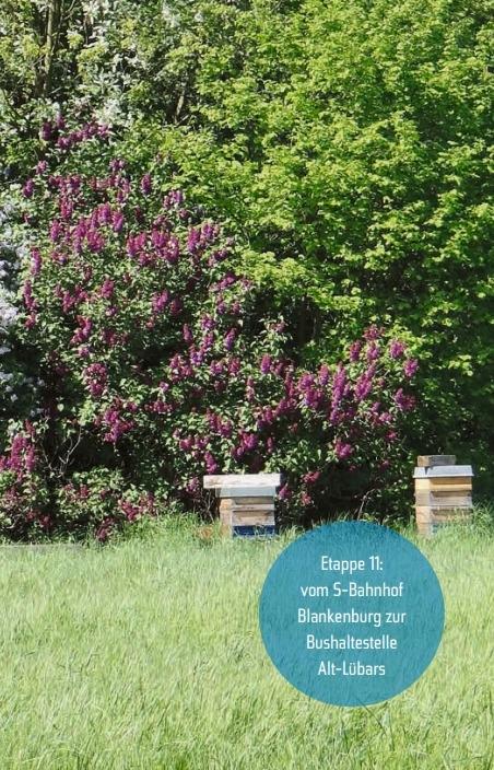 Beispielinhalt (Bild) Rund um Berlin